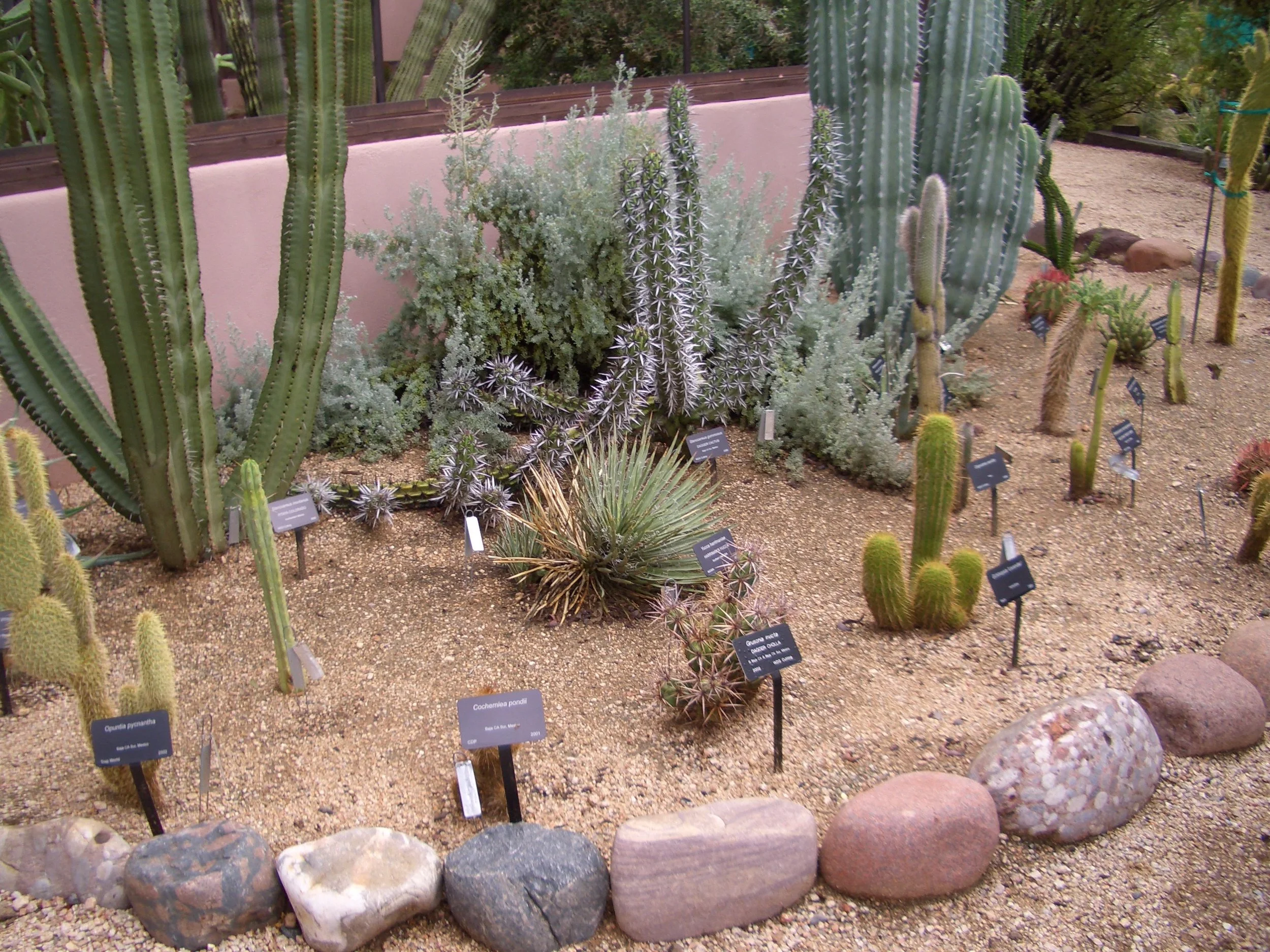 Classic Plant Markers | Custom Garden ID Stakes & Labels — Lark Signs